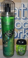 Bath  Body Works CANDY APPLE CAULDRON Fine Fragrance Body Mist  Anti-Bac Gel