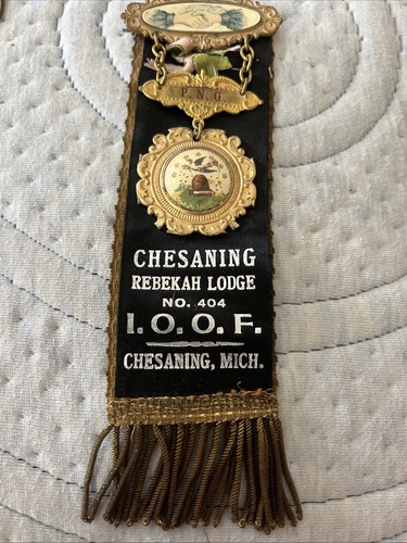 Band Metall Pin Odd Fellows Rebekah’s Lodge #404 Chesanig Michigan Bee Hive 8” - Bild 1 von 12