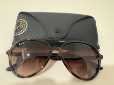 Ray-Ban Sunglasses Plus Case