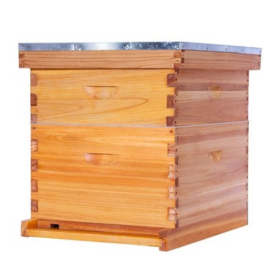 POLLIBEE 10 Frame Bee Hive,Beeswax Coated Beehive Kit for 2-Layer 
