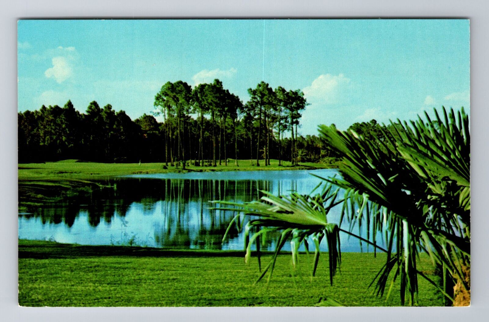 Vintage Postcard of Walt Disney World Palm Golf Course in Orlando Florida