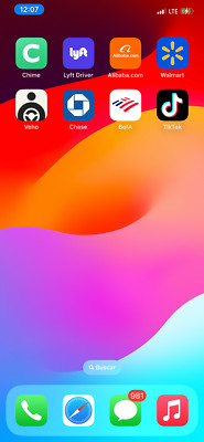 iPhone 11 Pro Max with tiktok