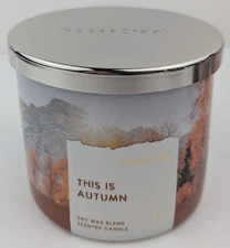 Goose Creek This Is Autumn 3-Wick 14.5oz. Jar Candle