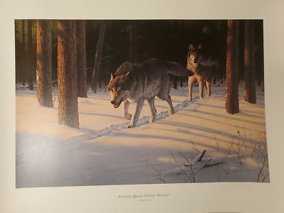 Daniel Smith '' Evening Quest Timber Wolves '' Large Size CE #408/580 rare 1985