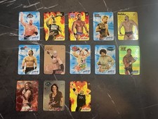Lot 2004 WWE SmackDown Vs Raw Cards Wrestling Parallel Gold Silver Bulk