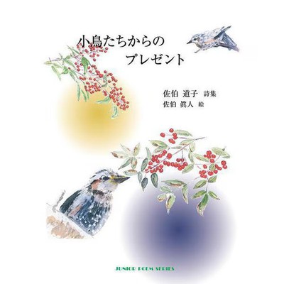 Junior Poem Presents from the Birds Hardcover Japan Import Excellent