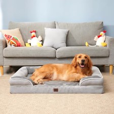 Orthopedic Dog Bed Memory Foam Pet Bed XL with Removable, Washable Cover