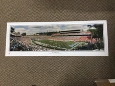 40 Yard Line Panoramic Carolina Rob Arra Collection
