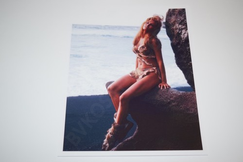 Raquel Welch pinup 8x10 glossy photo Busty Sexy Gorgeous Cleavage 0822