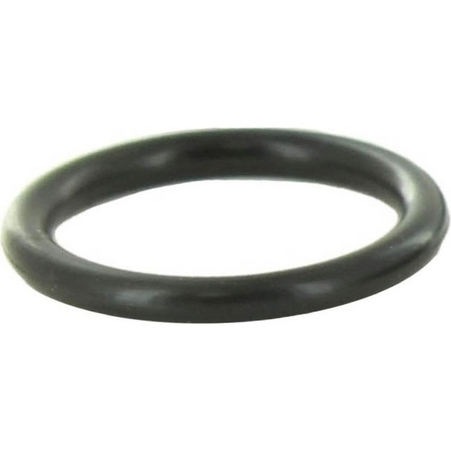Baxi 247429 O-Ring 22 X 3