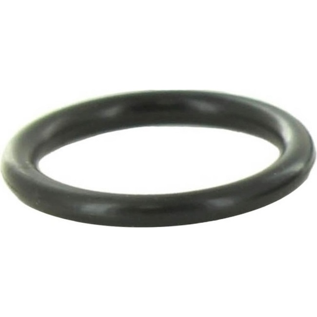 Baxi 247429 O-Ring 22 X 3