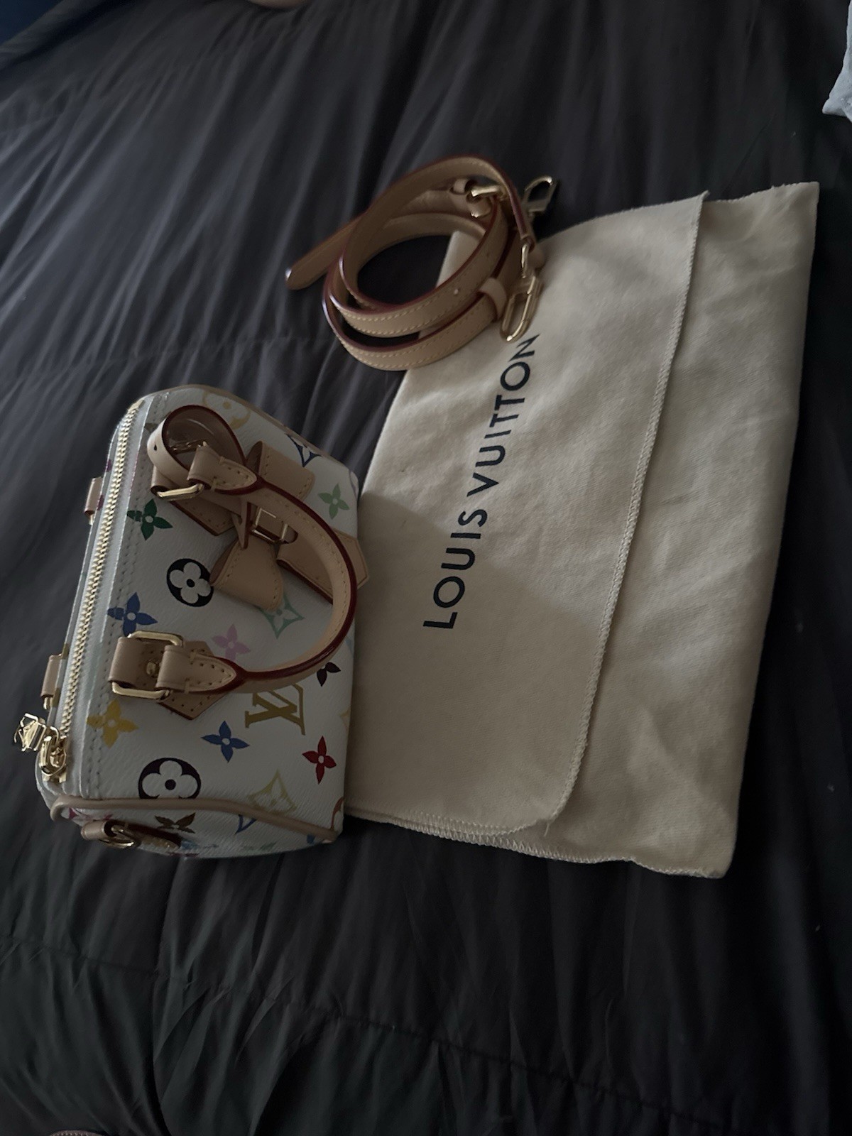 Louis Vuitton Nano Speedy Mini Crossbody Bag Monogram Canvas