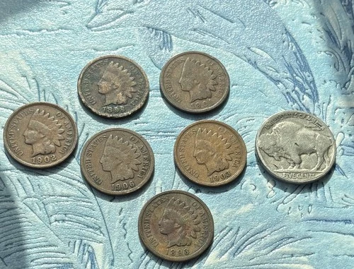 Old U.S. Coin Lot! 6 Indian Head Cent & 1 Lonely Buffalo Nickel. FREE SHIPPING!