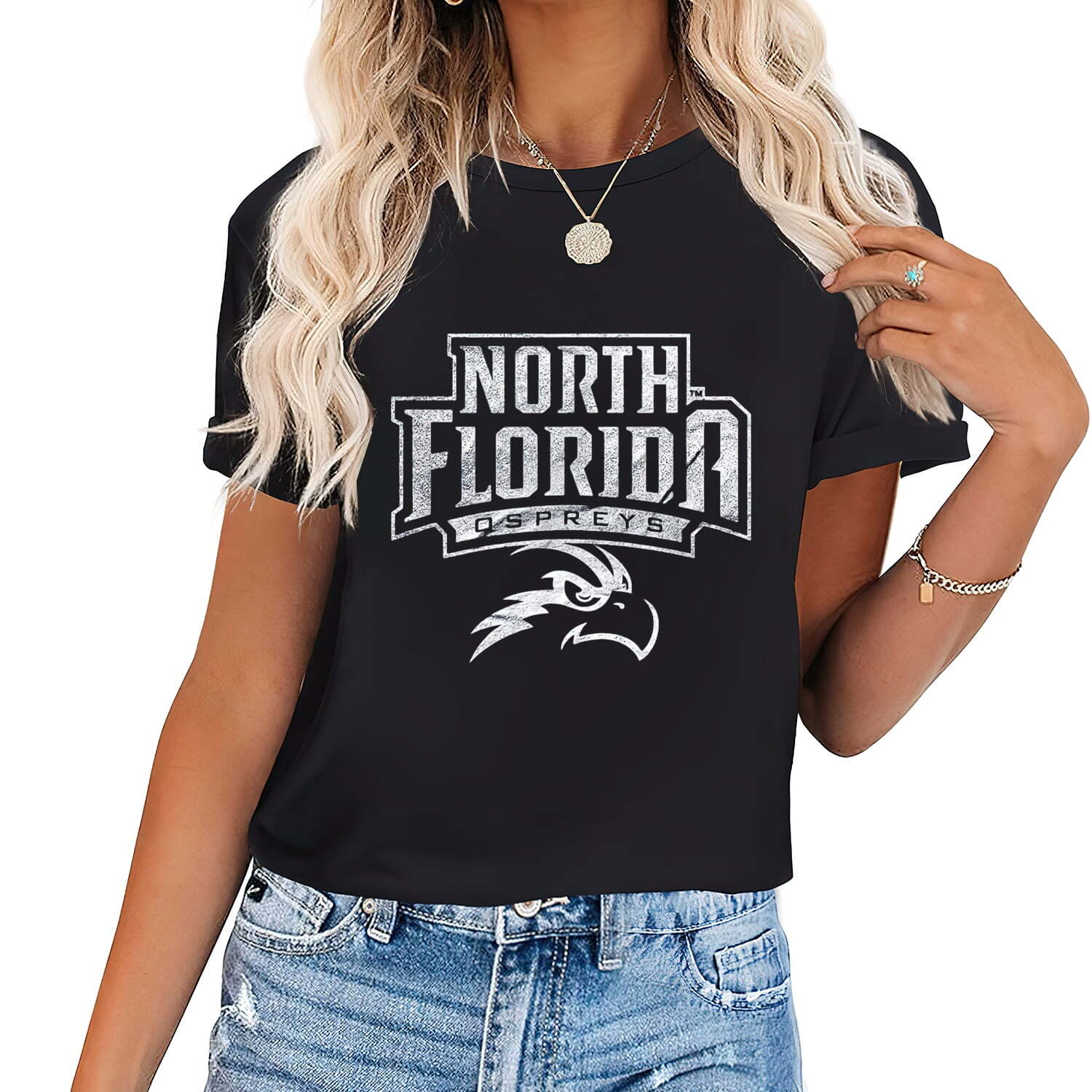 University Of North Florida Unf Ospreys Distressed Standout Graphic Tees-image