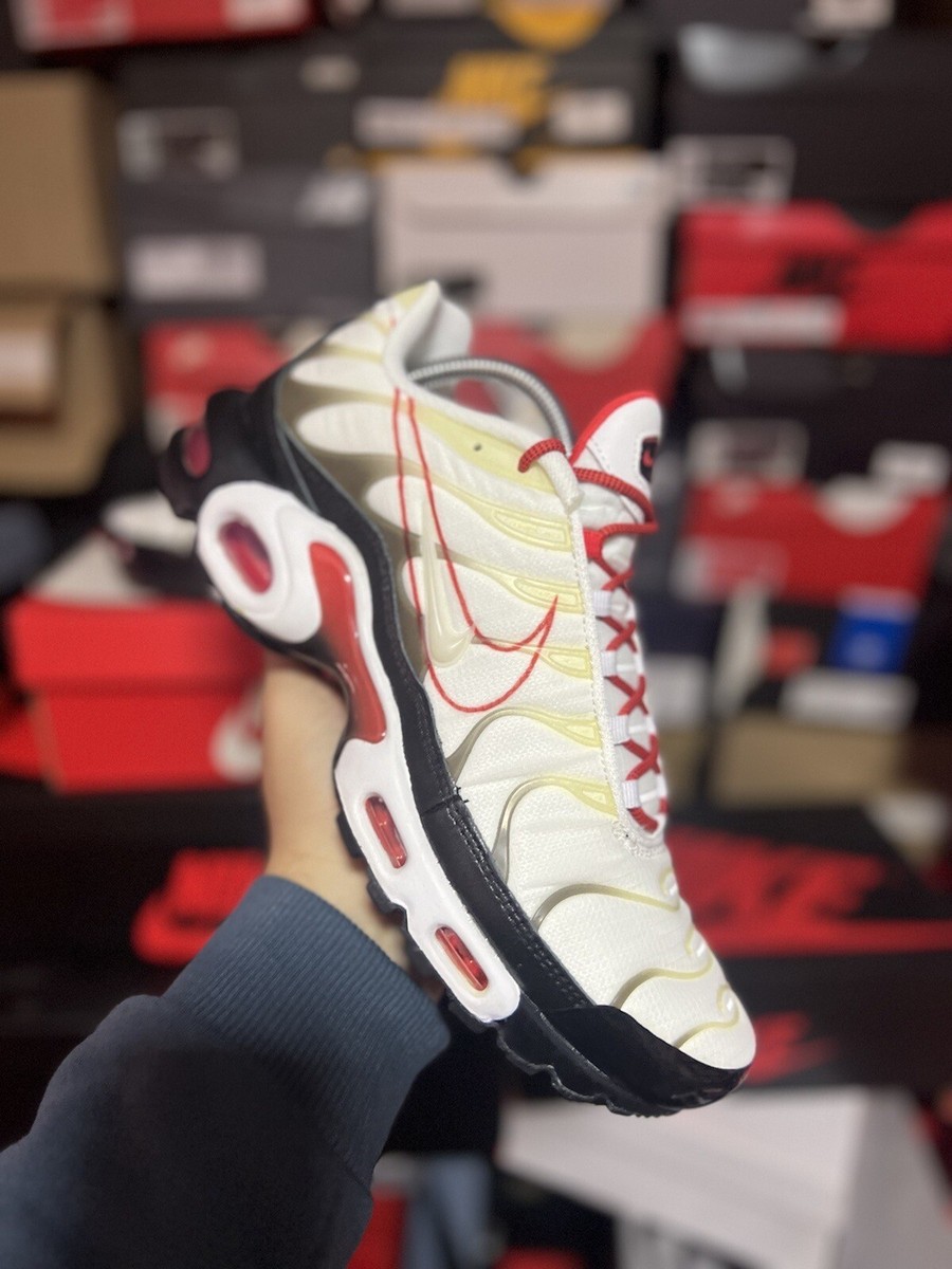 nike paper max plus