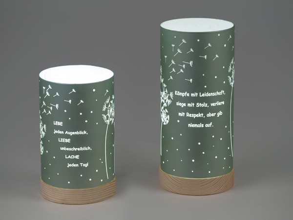 2Er Set Led Tischlampen Pusteblume Mit Spruch H. 20Cm GrüN Mit Timer Formano Wa-image