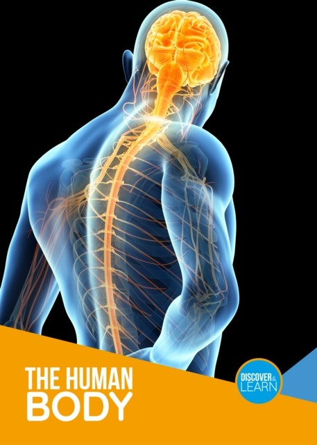 Human Body by Joanna Brundle (Paperback Book)