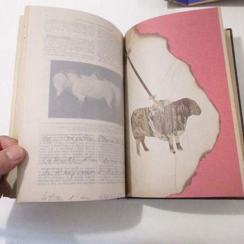 Joseph Cornell Manual of Marvels Vintage Fine Art Interactive Collage Books & CD - Foto 7 di 17