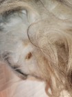 Bild 8 von 11