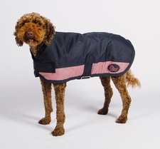 Hundedecke mit 200 Gramm Füllung. NEU. Grösse 40 cm