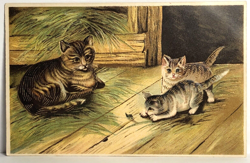 Cat Postcard ASB Publ Mama Watches Kittens Play Gold Accent Artist u/s ...