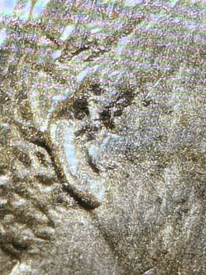 1984 Very Good Penny With Multiple D D Very Rare  Errors # 1  ⭐️⭐️⭐️⭐️⭐️ - Image 3 of 4