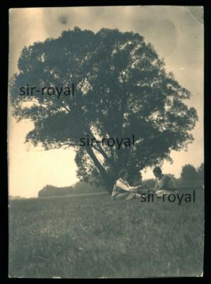 Magnificent Tree At Whose Foot Two Women Sitting In Grass - 1920s - Photo 6x8cm