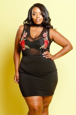 Plus Size Black Sheer Top Embroidered Floral V Neck Lace Collar Bodycon  Dress XL | eBay