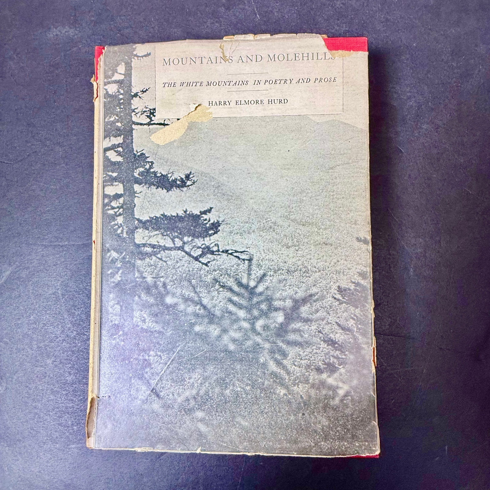 Mountains and Molehills Essay & Poems SIGNED Harry Elmore Hurd 1926 1st Edition