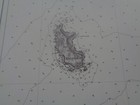 Bild 3 von 3