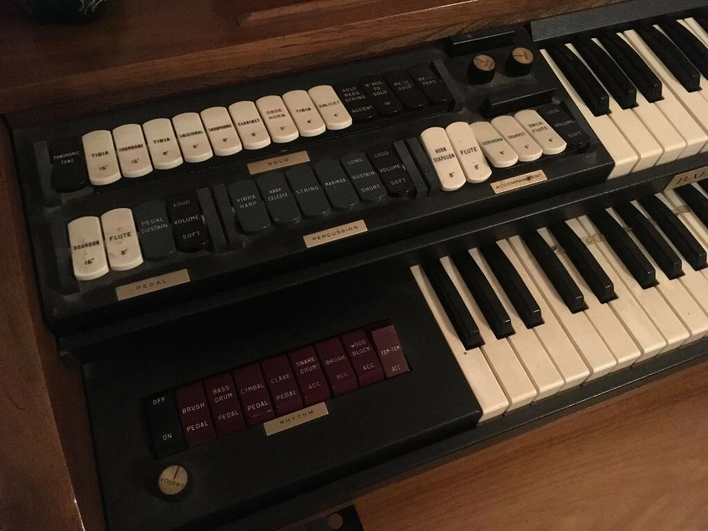 Electric organs on ebay deals