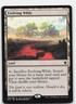 Evolving Wilds *Regular* TDP 248 NM