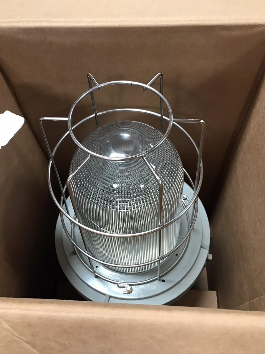 Azz Lighting Systems Rig A Lite Shelly Lighting