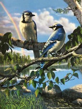 Kim Norlien Songbird Art Print Bluebirds 9 x 12