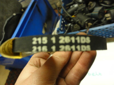 NOS GENUINE PIAGGIO 2 STROKE OIL PUMP BELT 286162 1 | eBay