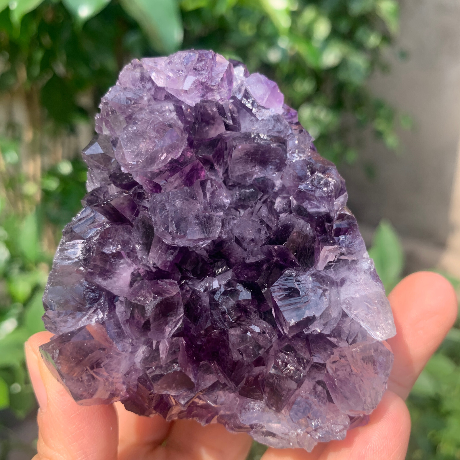 Natural Amethyst Geode Crystal Quartz Mineral Specimen 319g Energy Decor