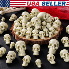 30Pcs Mini Skulls Figurine Skeleton Head Miniatures for Halloween Accessories US