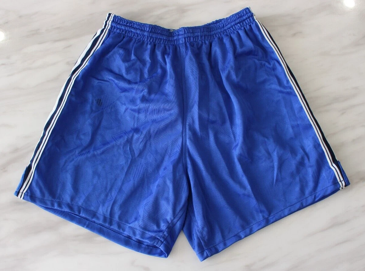 Puma soccer best sale shorts mens