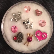 Floating Charm Set~*~Cat Yarn Kitty Dog Puppy Boxer Paws Bone~*~Living  Locket