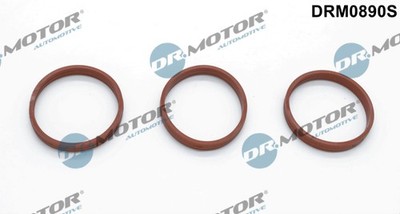 Dr.Motor Automotive DRM0890S Dichtungssatz, Ansaugkrümmer for CITROËN DS OPEL PE
