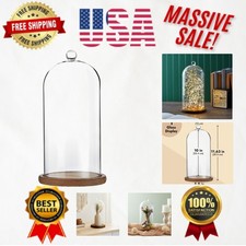 Elegant Glass Dome with Wooden Base - Perfect for Candles  Collectibles 5.1x10