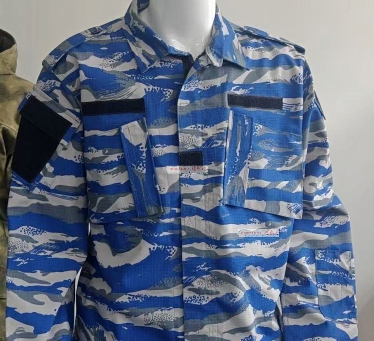 Unknown Country Cote d'Ivoire Ivory Coast Blue Lizard