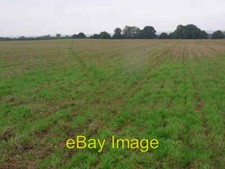 Photo 6x4 Bridleway on Daylesford Farm Kingham Across the field towards t c2013