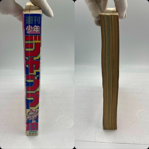 Weekly Shonen Jump Dragon Ball 1991 No.21-22 Rare Reprint Manga JAPAN F/S - Imagen 20 de 24