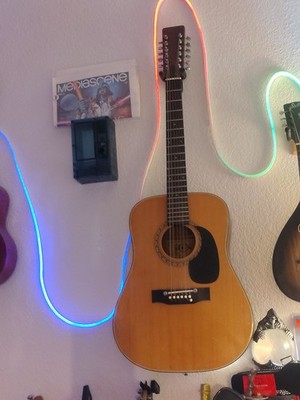 Vintage Sigma by Martin DM-12-1 Acoustic 12-String Guitar