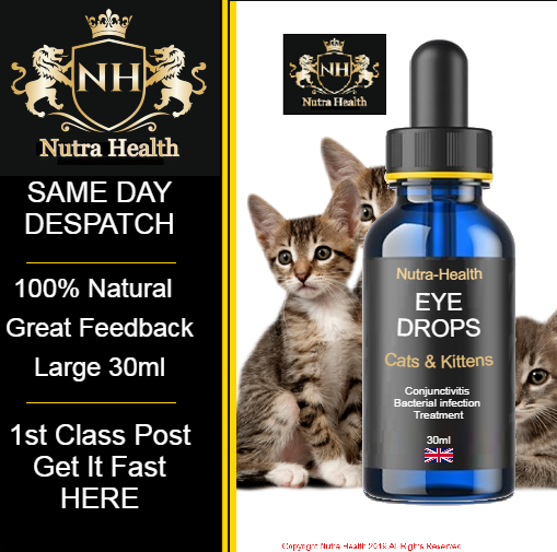 Eye Drops for Cats & Kittens Bacterial Eye Infection drops For Adult Cat Kitten eBay