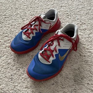 nike roshe two cinza