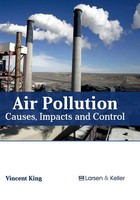 Vincent King | Air Pollution | Buch | Englisch (2017) | Gebunden