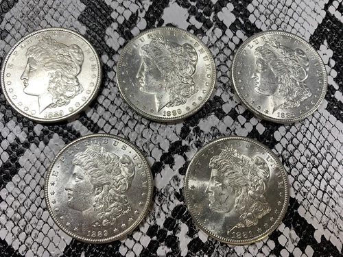 Lot of 5 BU Morgan Silver Dollars 1878-1904 Lot A