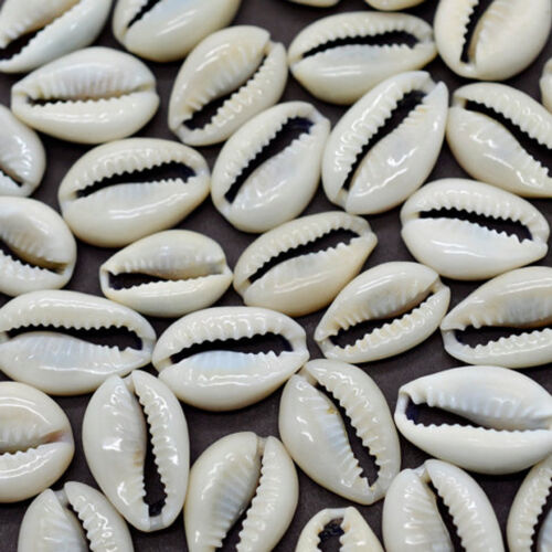 50 pièces petits bijoux de plage coupés en vrac coquille de mer cowrie cawry trouvaille à faire soi-même  - Photo 1/4